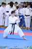 Gara sabato tatami 7 e 8