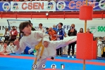 CSEN_391