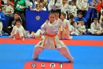CSEN_441
