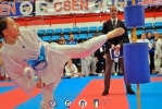 CSEN_493
