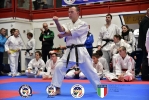Karate Integrato