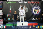 Karate integrato