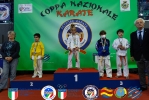 Immagini Domenica Cinzia Brogneri