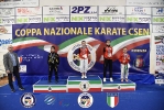 CSEN_137