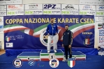 CSEN_250