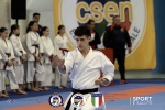 CSEN_452