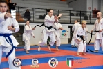 CSEN_181